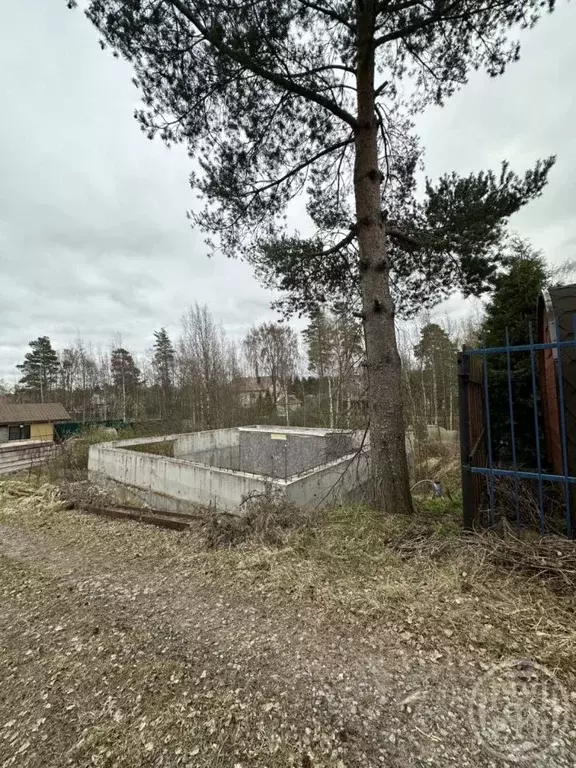 Участок в Ленинградская область, Всеволожский район, Лесколовское ... - Фото 1