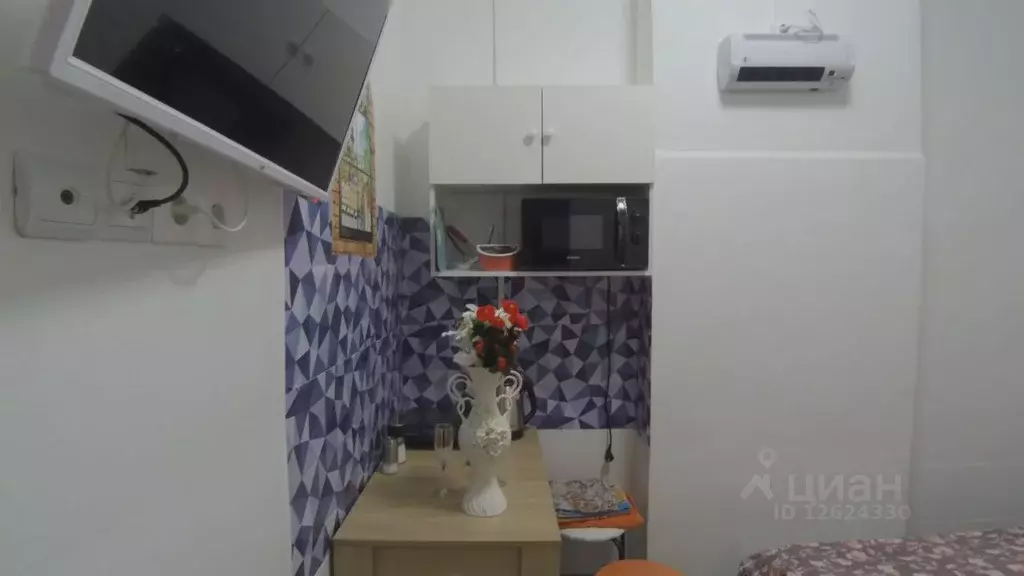 Студия Московская область, Электроугли Богородский городской округ, ... - Фото 1