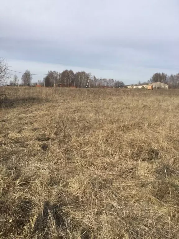 Участок в Московская область, Серебряные Пруды пгт ул. Свободная (12.0 ... - Фото 0