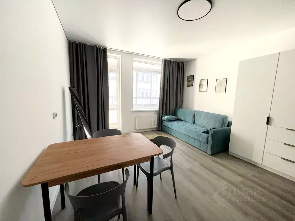 Студия Санкт-Петербург просп. Ветеранов, 206 (24.59 м) - Фото 0