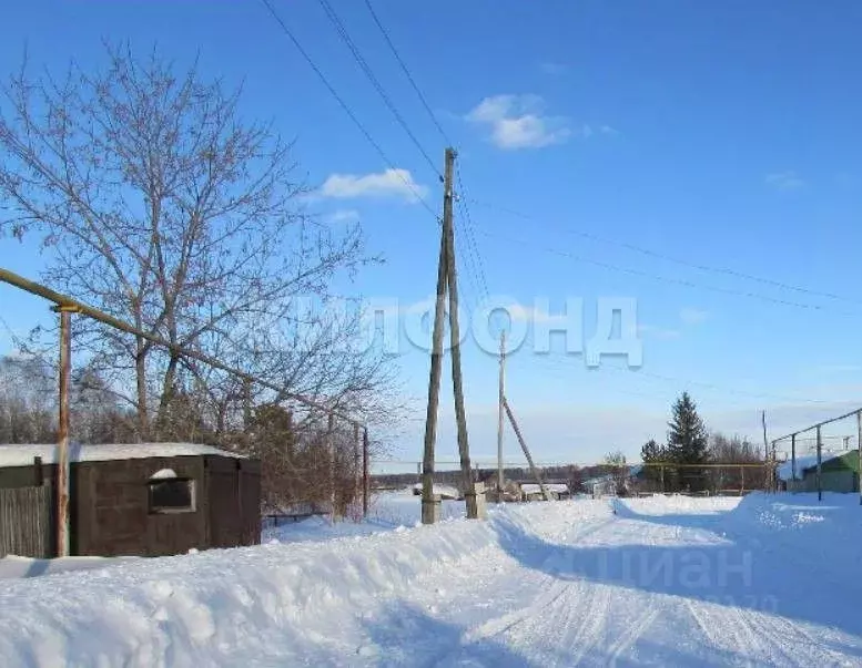 Участок в Новосибирская область, Тогучинский район, Репьевский ... - Фото 1