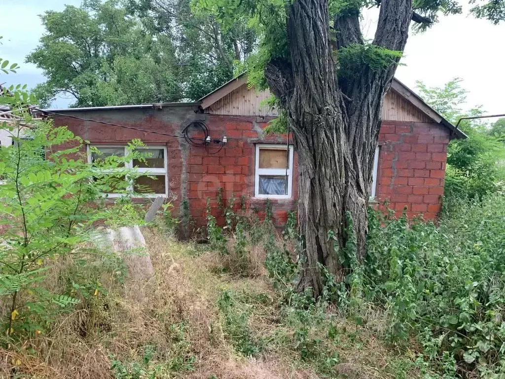 Дом в Ростовская область, Неклиновский район, с. Натальевка ... - Фото 1