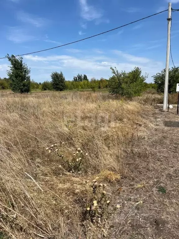 Участок в Ростовская область, Аксайский район, Ольгинская ст-ца ул. ... - Фото 2