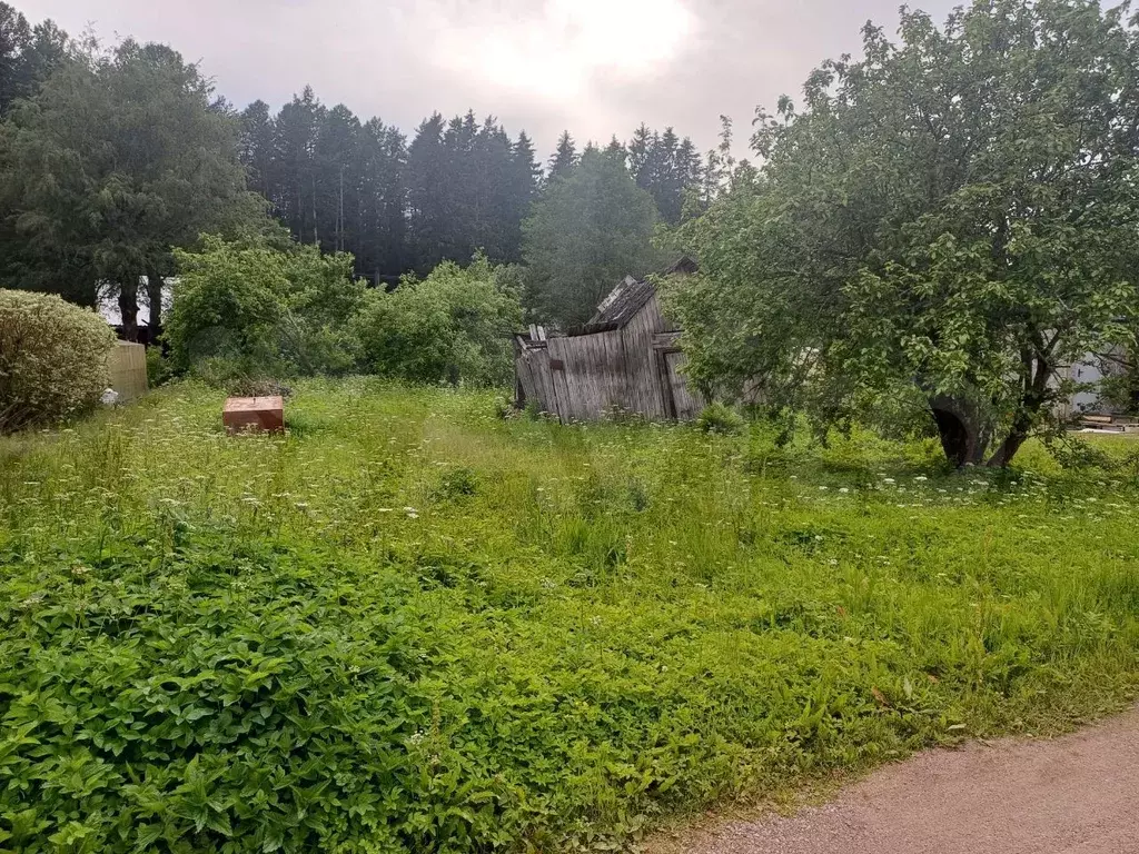 Участок 7,8 сот. (СНТ, ДНП) - Фото 1