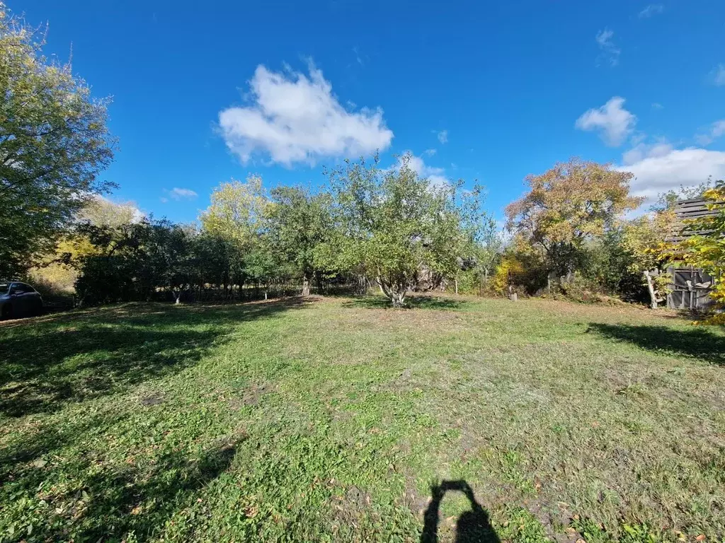 Участок в Воронежская область, Рамонский район, Айдаровское с/пос, ... - Фото 1