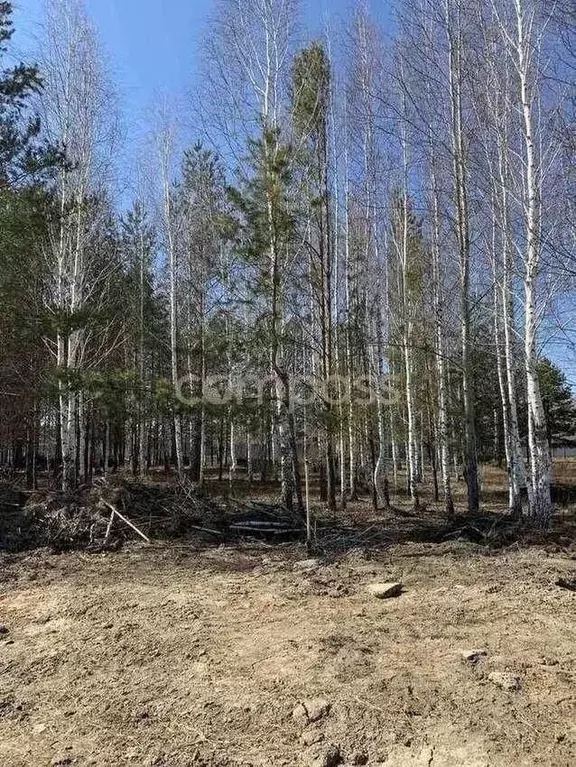 Участок в Тюменская область, Нижнетавдинский район, Березка СНТ  ... - Фото 0