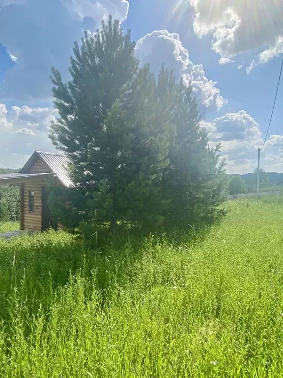 Участок в Кемеровская область, Кемеровский район, д. Солонечная  (6.0 ... - Фото 1