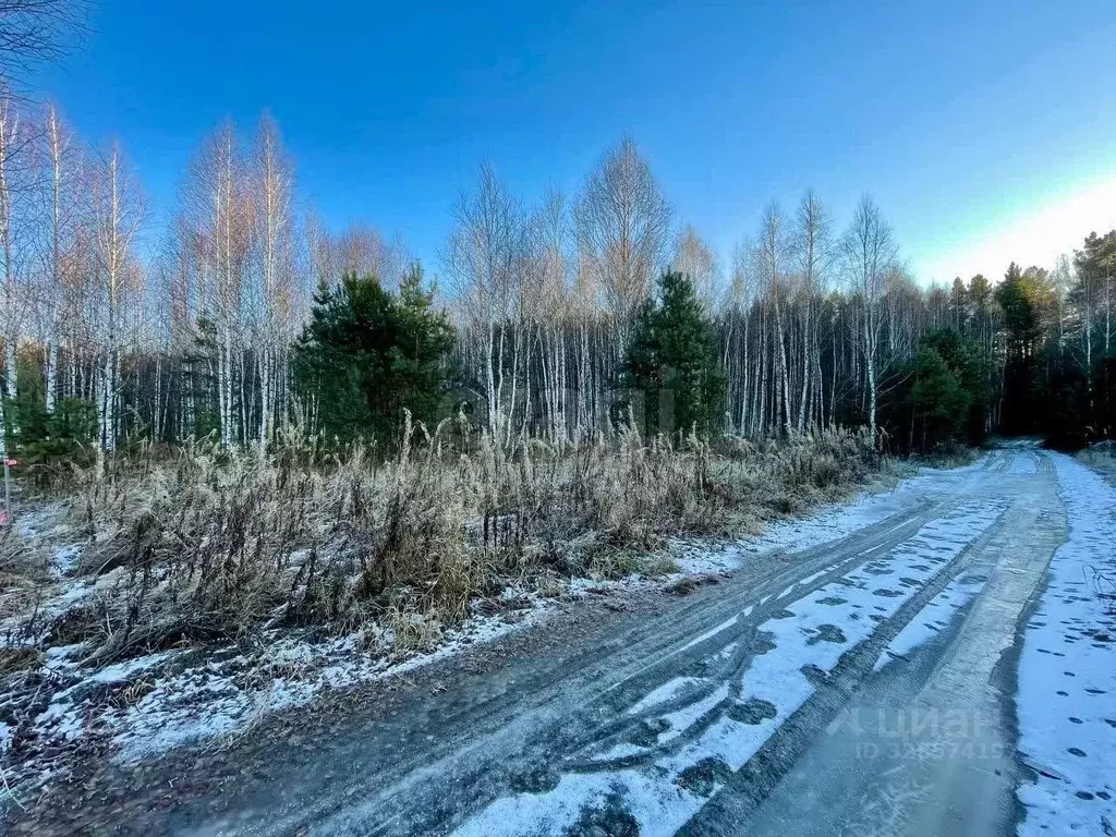 Участок в Тюменская область, Нижнетавдинский муниципальный округ, ... - Фото 1