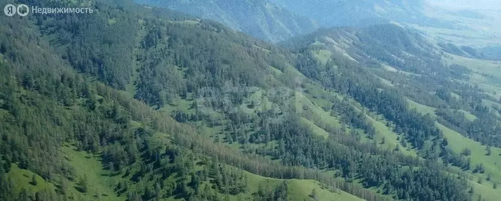 Участок в Усть-Коксинский район, село Усть-Кокса (95900 м) - Фото 0