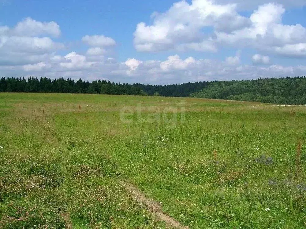 Участок в Нижегородская область, Вачский муниципальный округ, ... - Фото 0