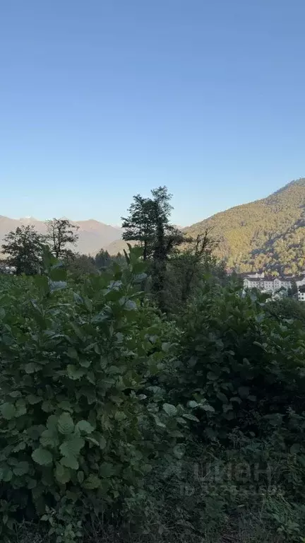 Участок в Краснодарский край, Сочи городской округ, Красная Поляна пгт ... - Фото 1