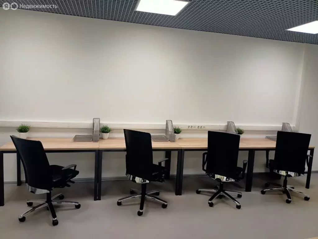 Офис (74 м) - Фото 1