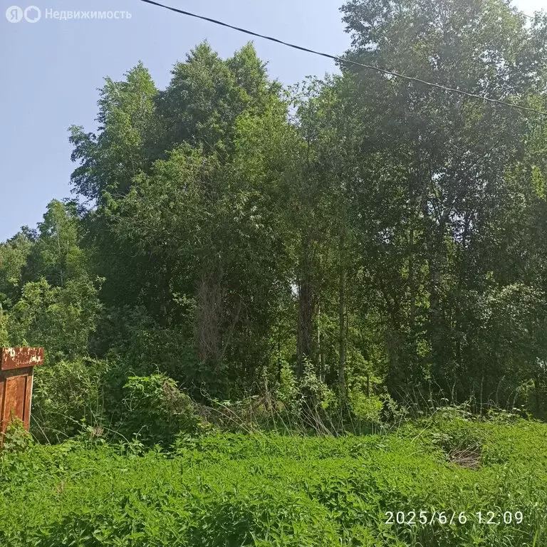 Участок в Нижнетавдинский район, СНТ Ромашка (9.5 м) - Фото 0
