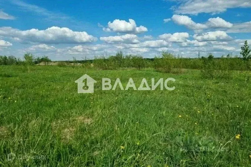 Участок в Нижегородская область, Володарский муниципальный округ, ... - Фото 1