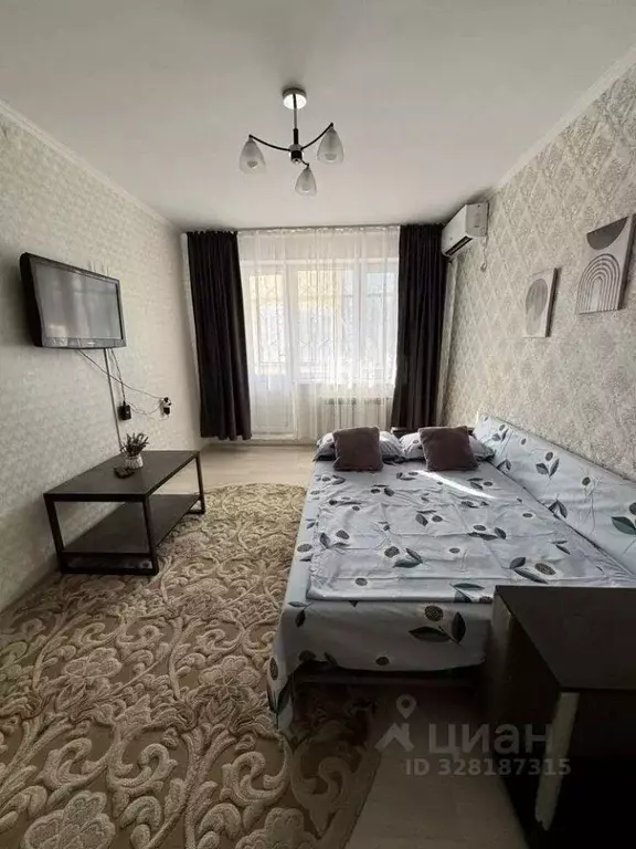 1-к кв. Алтайский край, Барнаул ул. Германа Титова, 17/27 (30.5 м) - Фото 1