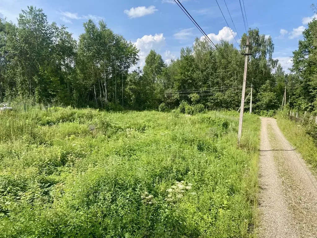 Участок в Владимирская область, Александровский муниципальный округ, ... - Фото 2