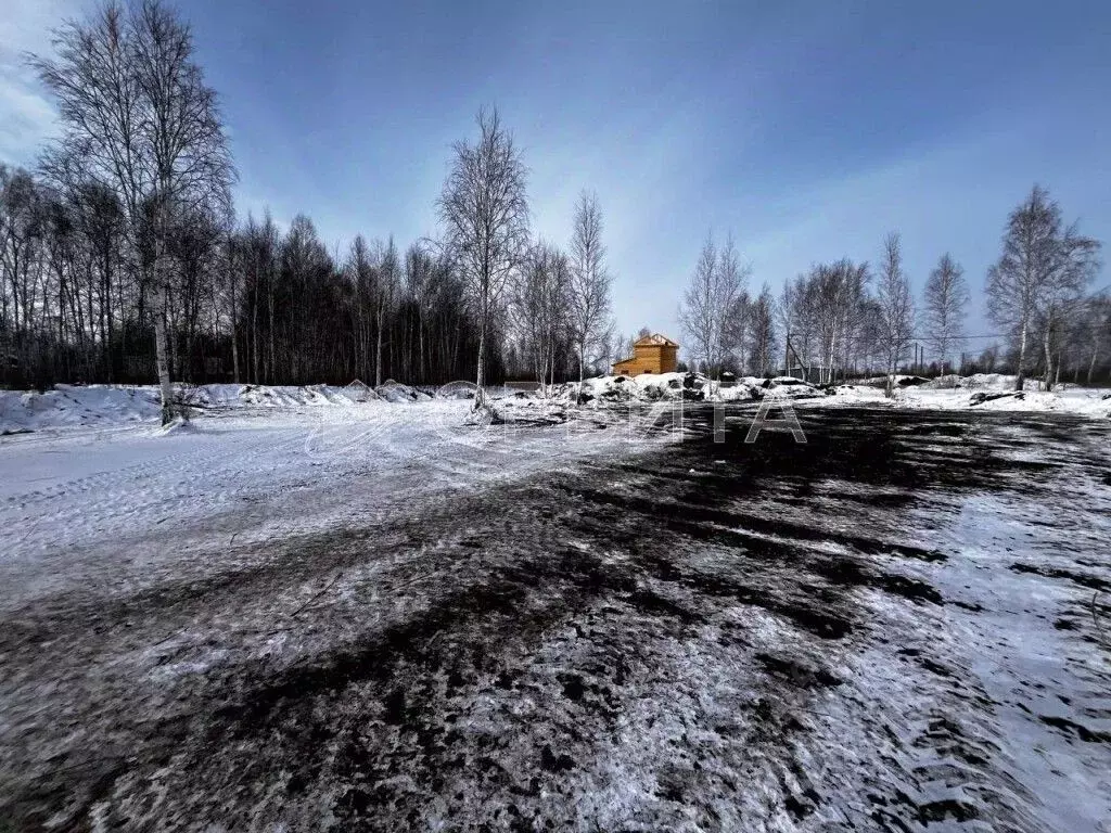 Участок в Тюменская область, Тюмень Яровское садовое товарищество, ул. ... - Фото 1