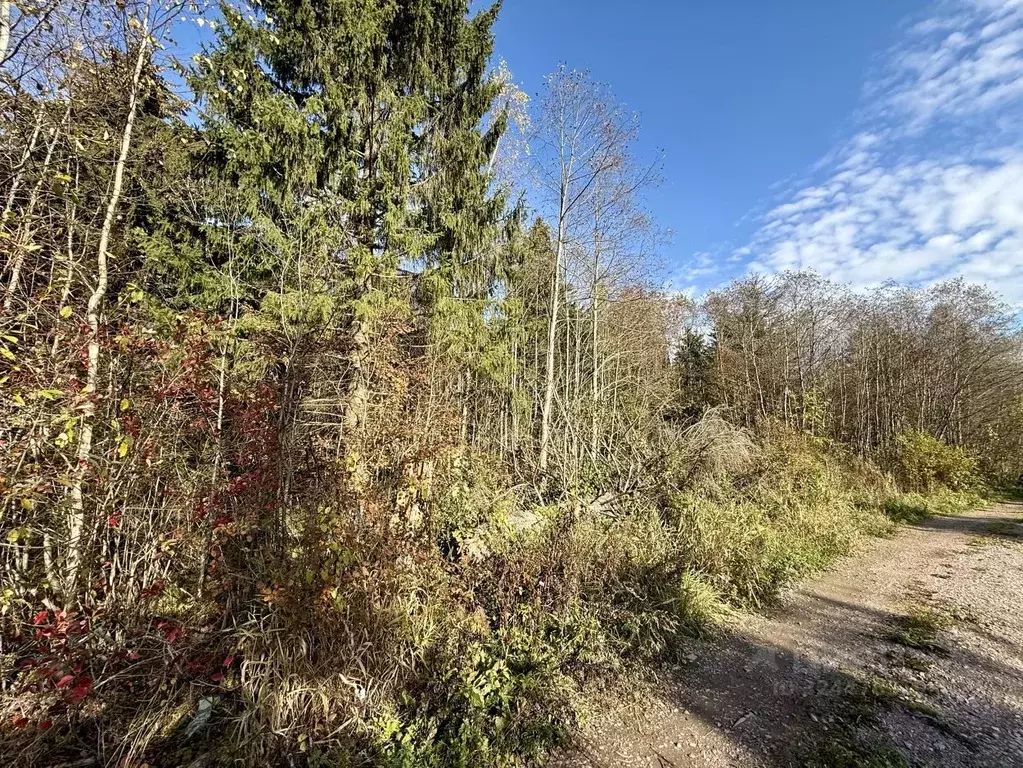 Участок в Ленинградская область, Кировский район, Шумское с/пос, пос. ... - Фото 1