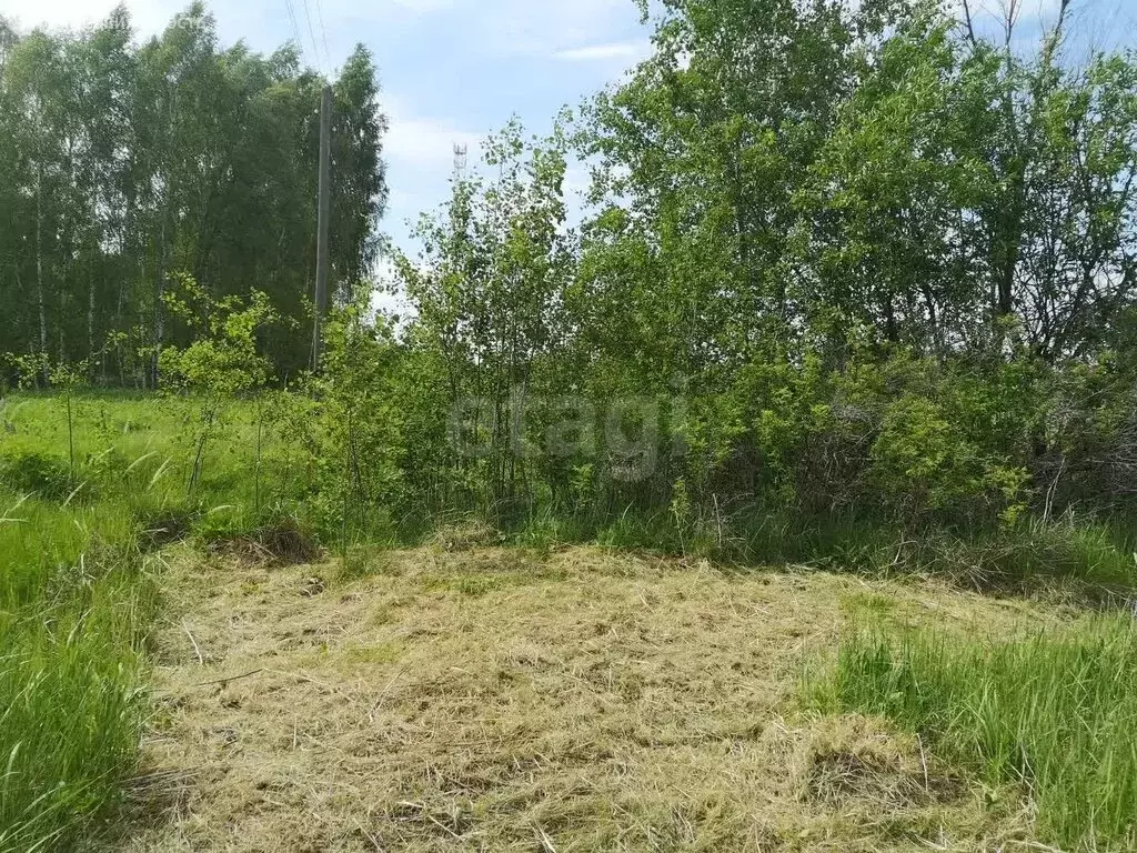 Участок в деревня Усад, улица Новая линия (12 м) - Фото 0