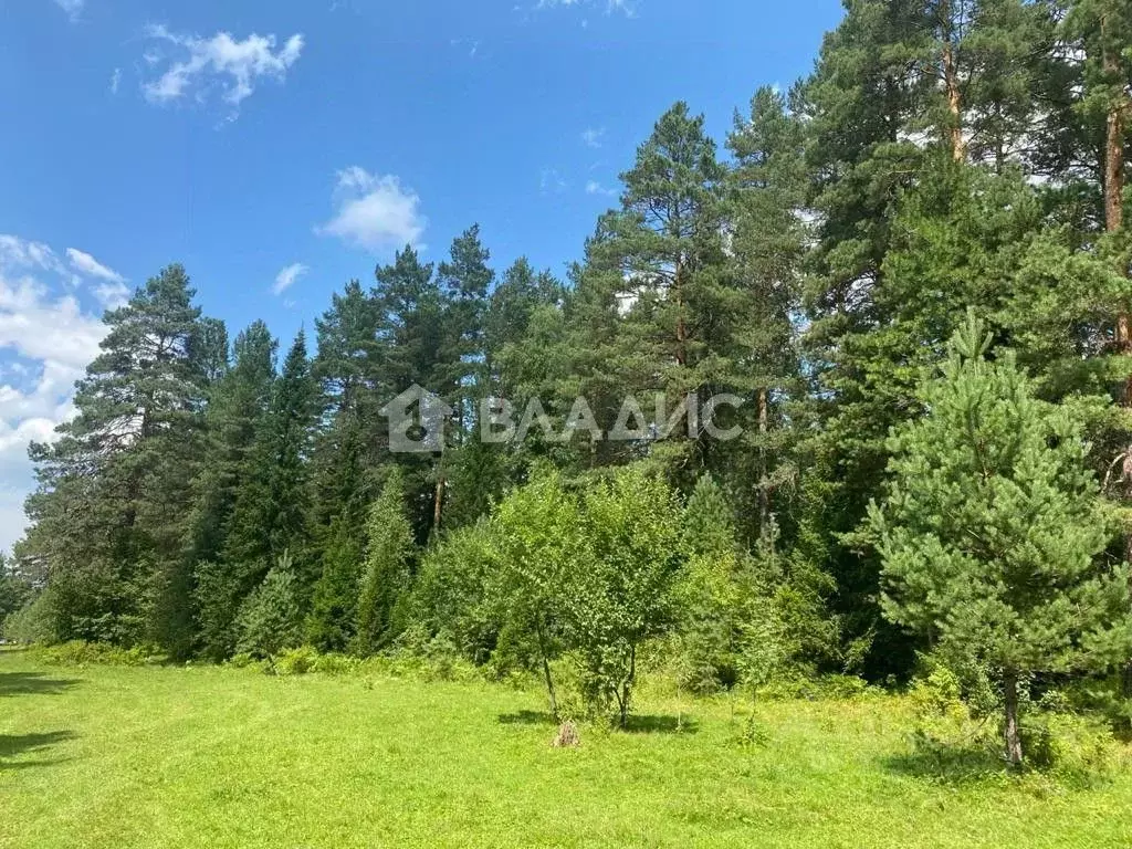 Участок в Алтай, Турочакский район, с. Тулой  (100.0 сот.) - Фото 1
