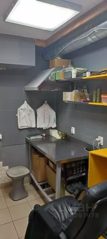 Помещение свободного назначения в Новосибирская область, Новосибирск ... - Фото 1