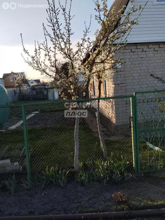 Дом в Липецк, СНТ Металлург-3, 13-я линия, 29 (42.6 м) - Фото 0