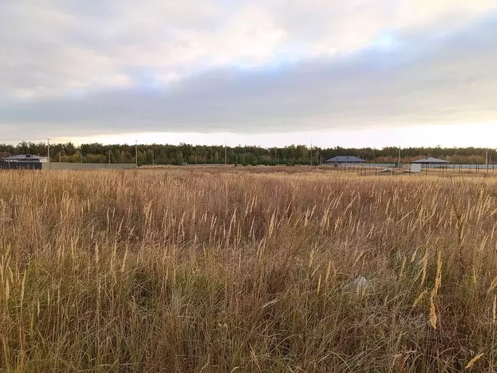 Участок в Ульяновская область, Ульяновск ул. Радужная, 20 (15.06 сот.) - Фото 1