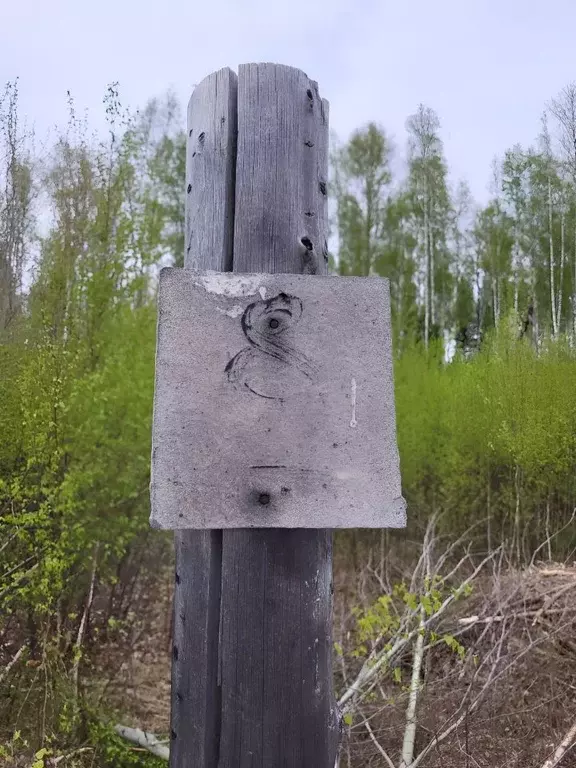 Участок в Ханты-Мансийский АО, Ханты-Мансийский район, Рассвет СОНТ 8 ... - Фото 1