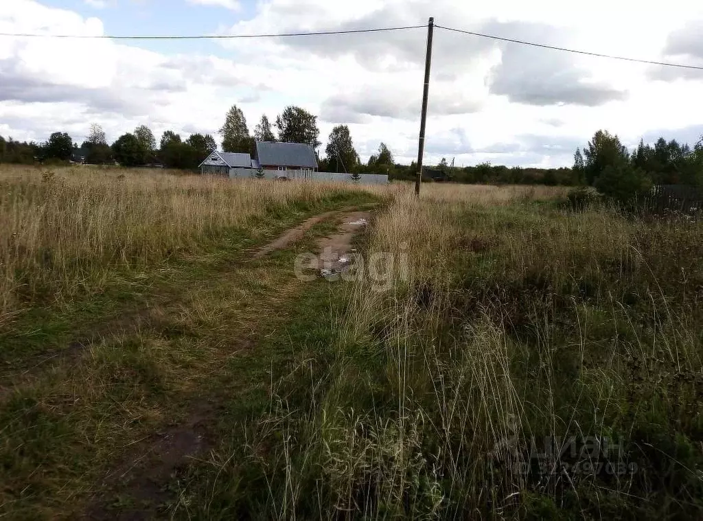 Участок в Вологодская область, д. Коробово  (16.26 сот.) - Фото 2