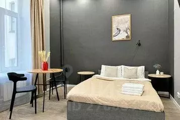 1-к кв. Санкт-Петербург Пушкинская ул., 9 (23.0 м) - Фото 0