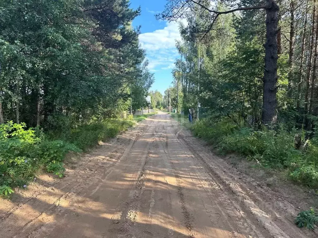 Участок в Вологодская область, Кадуй рп ул. Мира (66.0 сот.) - Фото 1