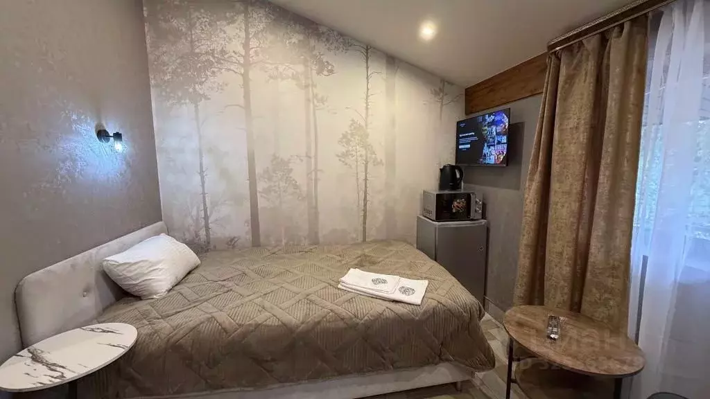 1-к кв. Московская область, Щелково городской округ, Монино пгт ул. ... - Фото 2