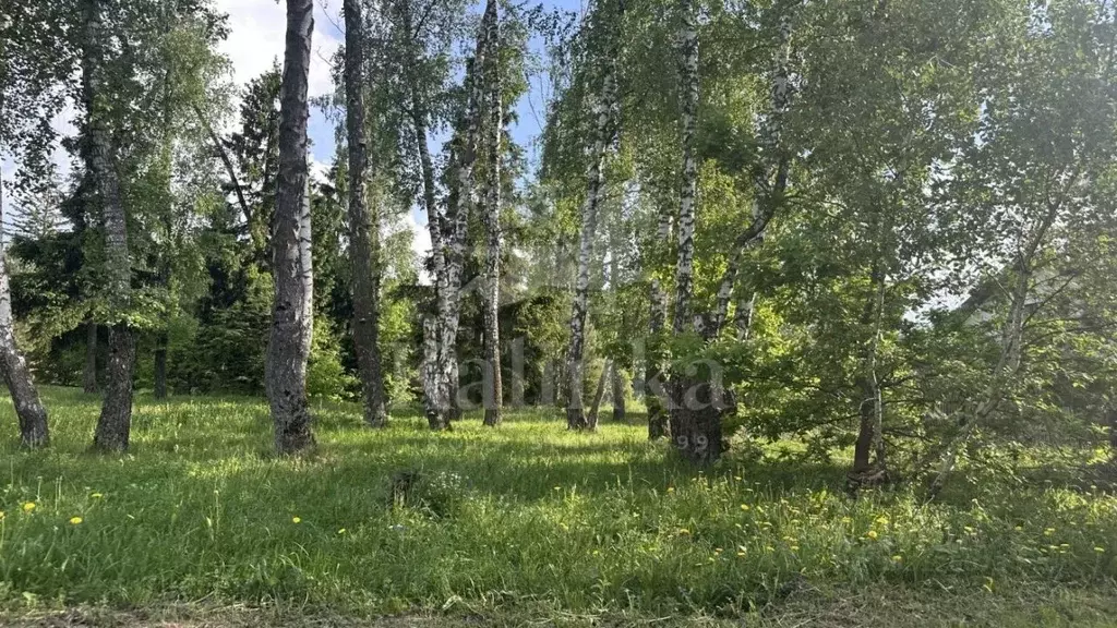 Участок в Московская область, Одинцовский городской округ, д. Шульгино ... - Фото 1