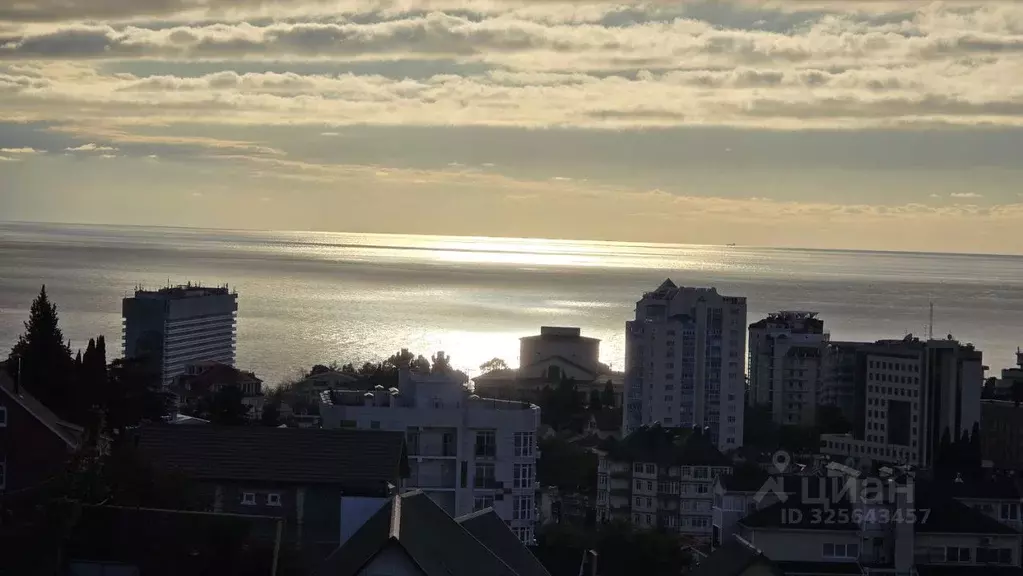 1-к кв. Краснодарский край, Сочи Светлана мкр, ул. Лысая Гора, 26а ... - Фото 2