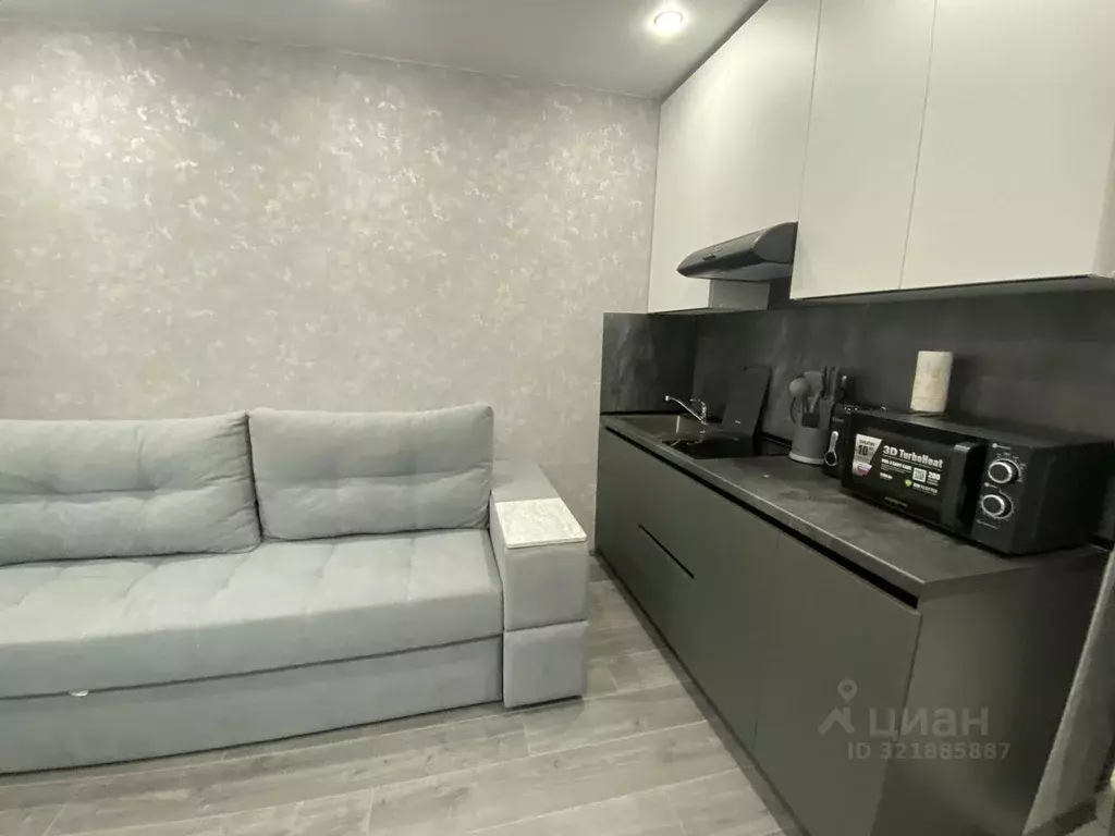 1-к кв. Пензенская область, Пензенский район, Засечный сельсовет, с. ... - Фото 2