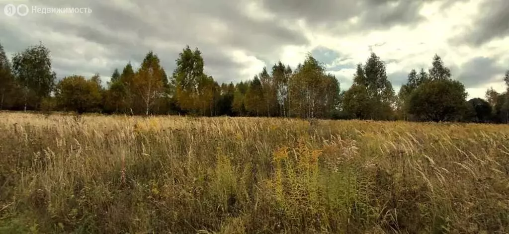 Участок в Шатово, улица Новое Шатово (300 м) - Фото 0