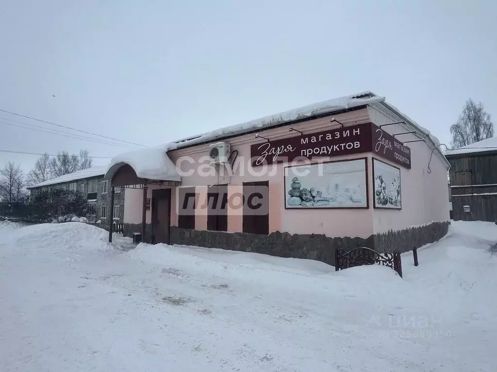 Торговая площадь в Пермский край, Кудымкар ул. Конституции, 7 (200 м) - Фото 2