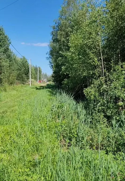 Участок в Московская область, Электрогорск Павлово-Посадский городской ... - Фото 0