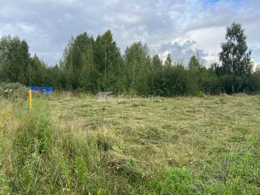 Участок в Новосибирская область, Новосибирский район, Барышевский ... - Фото 0