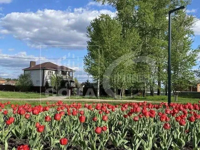 Дом в Воронежская область, с. Новая Усмань ул. Песоцкая, 34В/1 (210 м) - Фото 0