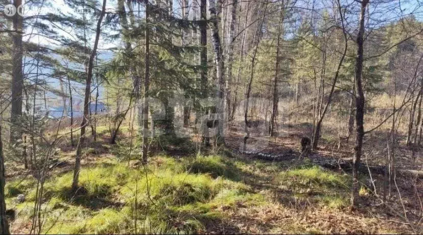 Участок в Красноярский край, городской округ Дивногорск, посёлок ... - Фото 2