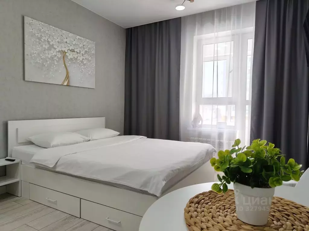 Студия Пензенская область, Пенза ул. Измайлова, 58Ак3 (28.0 м) - Фото 1