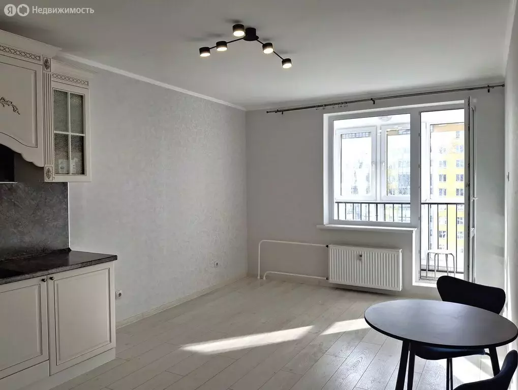 Квартира-студия: Мурино, Ручьёвский проспект, 1/24 (28.1 м) - Фото 2