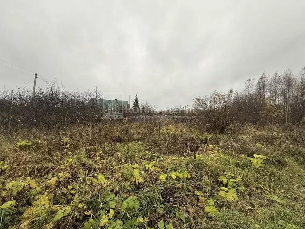 Участок в Владимирская область, Гусь-Хрустальный муниципальный округ, ... - Фото 1