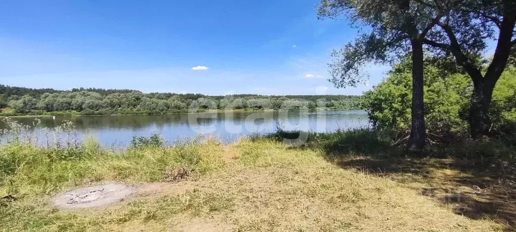 участок в тульская область, ясногорский район, иваньковское . - Фото 1