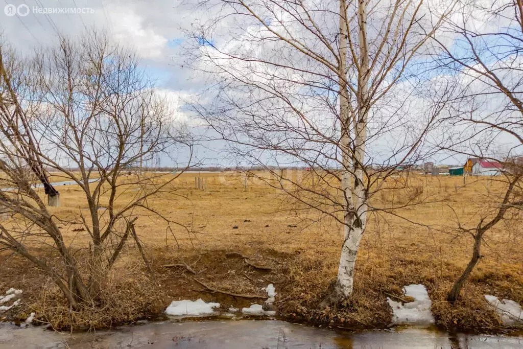 Участок в Хабаровский район, село Восточное (10.3 м) - Фото 0