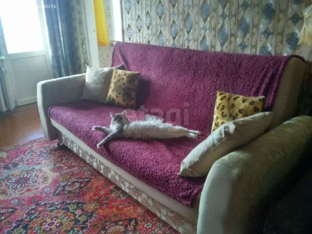 3-комнатная квартира: Сыктывкар, улица Пушкина, 28 (56 м) - Фото 1