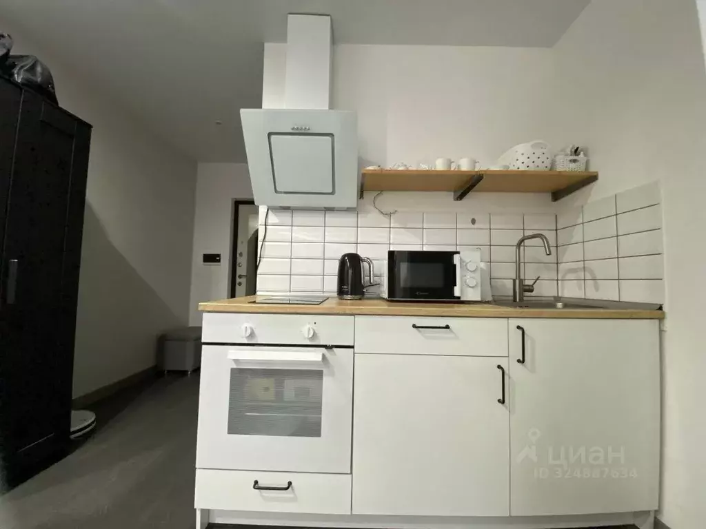 Студия Московская область, Ленинский городской округ, Лопатино пгт ул. ... - Фото 2