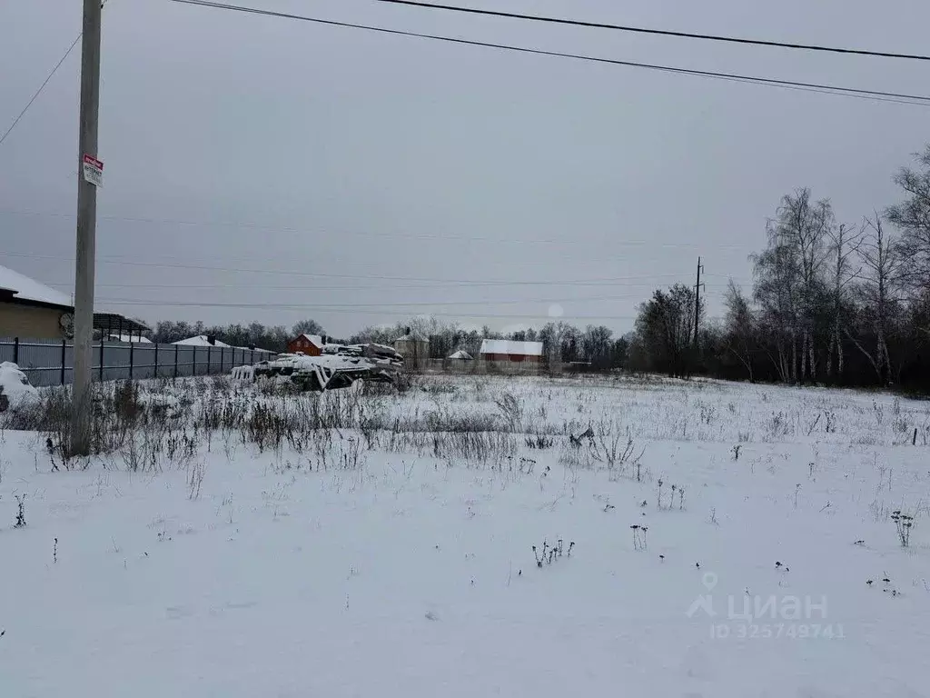Участок в Белгородская область, Белгородский район, Разумное рп, ... - Фото 2