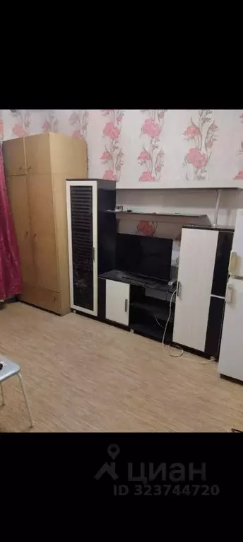 Студия Новосибирская область, Бердск Лунная ул., 30 (20.0 м) - Фото 1